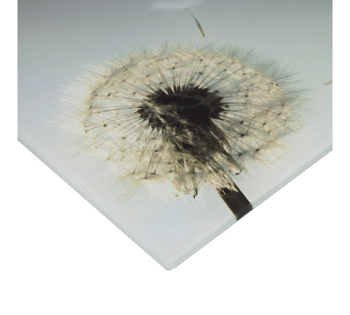 Ваги для ванної GRUNHELM BES-BLG (Одуван-сірий)