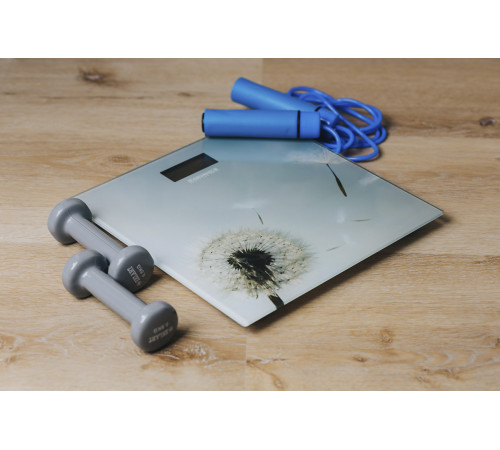 Ваги для ванної GRUNHELM BES-BLG (Одуван-сірий)